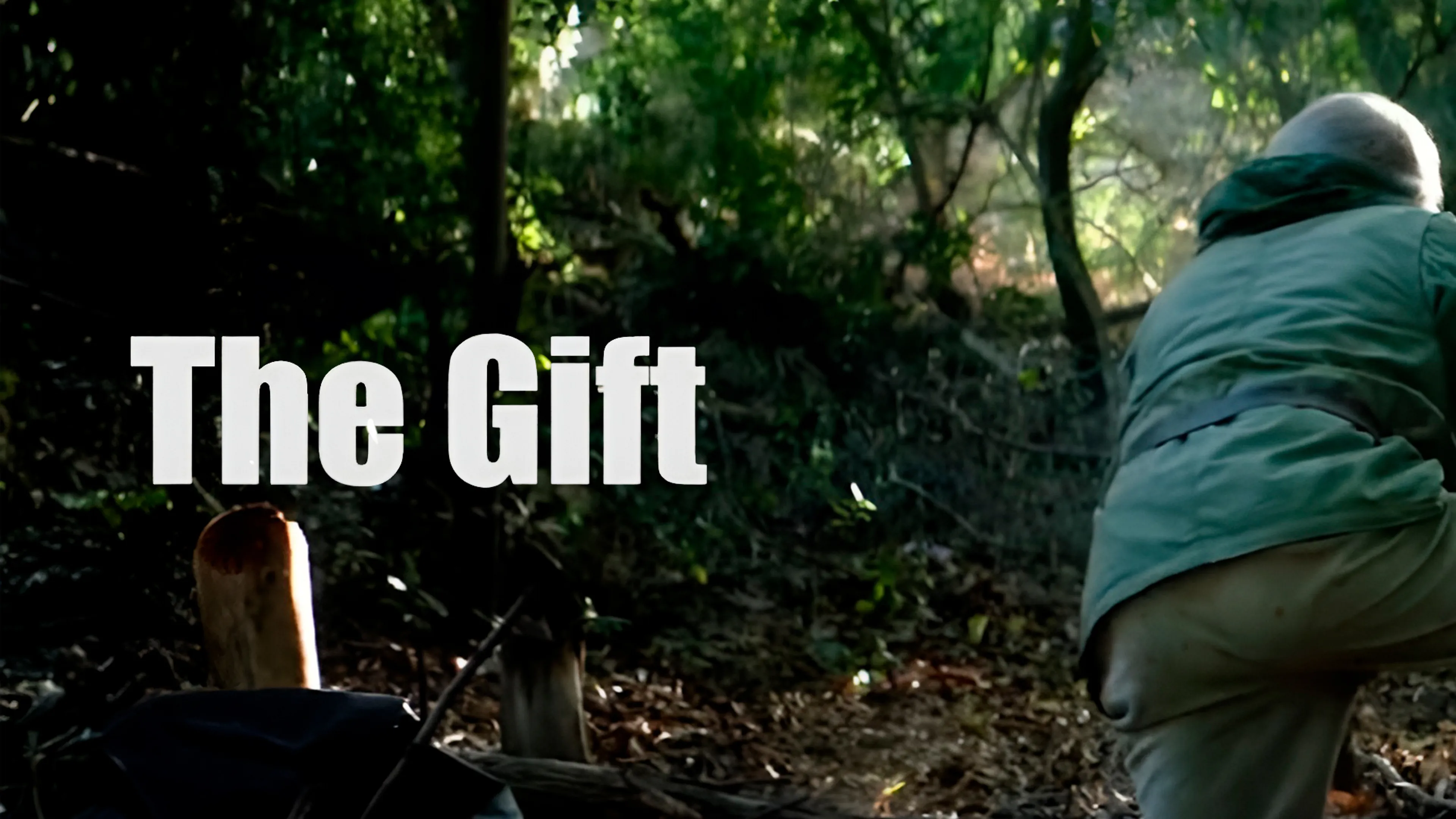 The Gift poster